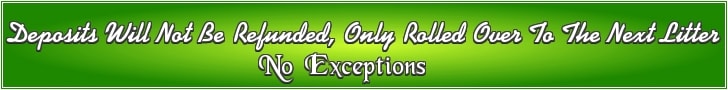 Deposits Will Not Be Refunded, Only Rolled Over To The Next Litter - No Exceptions